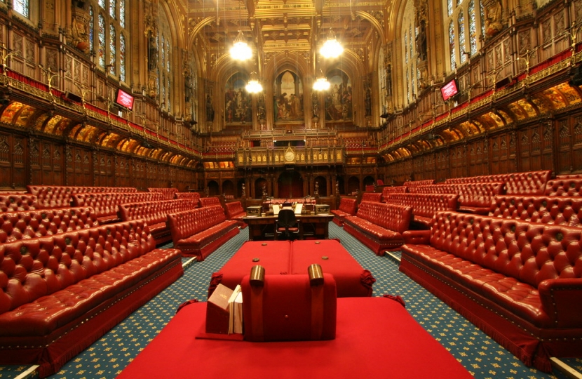 house of lords