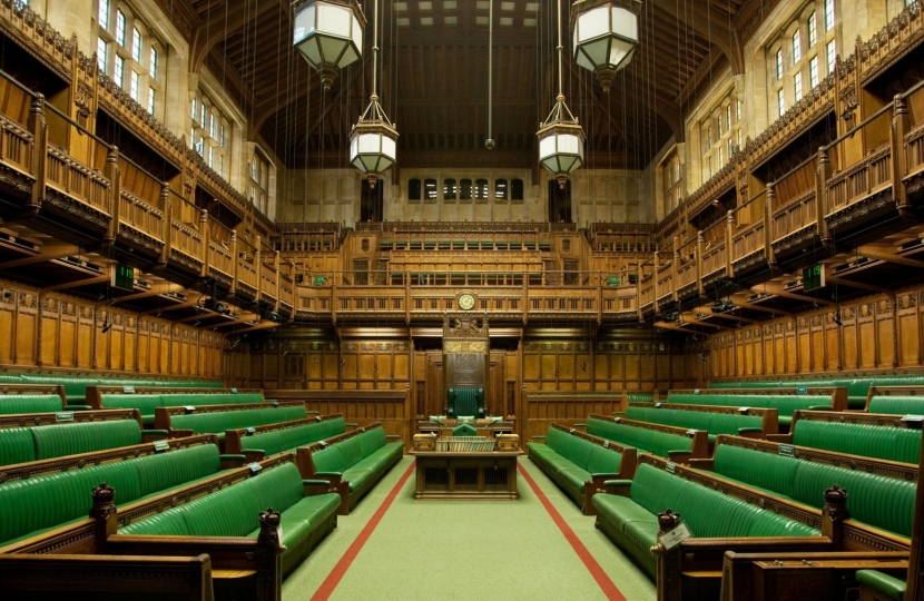 What does an MP do? | Selaine Saxby