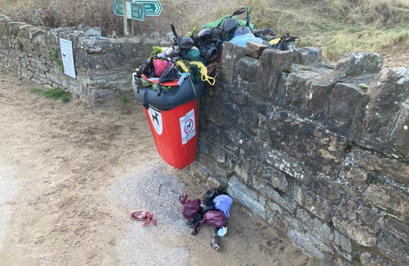 Instow Dog Bin 