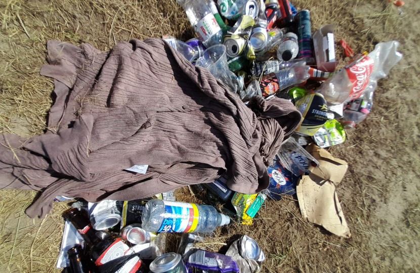 Litter in the Dunes