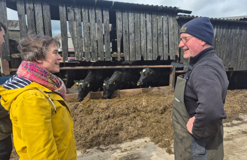 selaine with cows