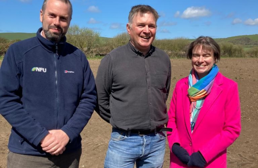 Braunton Asparagus farm 