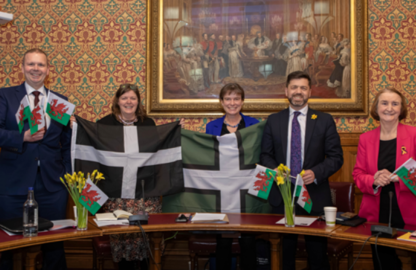 group photo APPG celtic sea