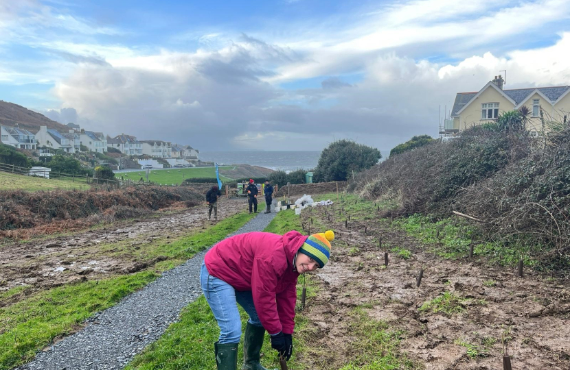 National Trust tree planting