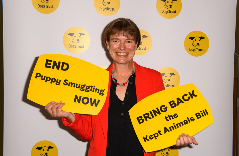 selaine with dogs trust