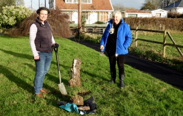 tree planting