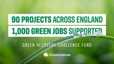 green recovery challenge fund