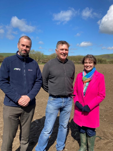 Braunton Asparagus farm 