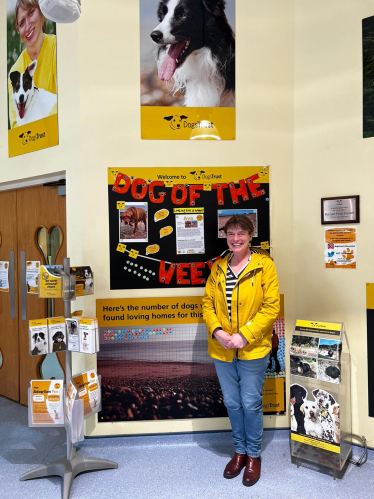 Selaine at Dog's Trust Ilfracombe 